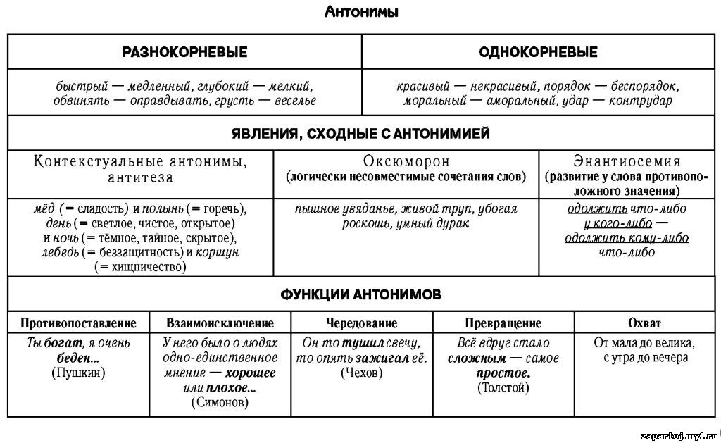 После 1 часть на русском языке. Типы синонимов и антонимов. Синонимы антонимы таблица. Антонимы это типы в русском языке таблица. Тип и функция антонимов.