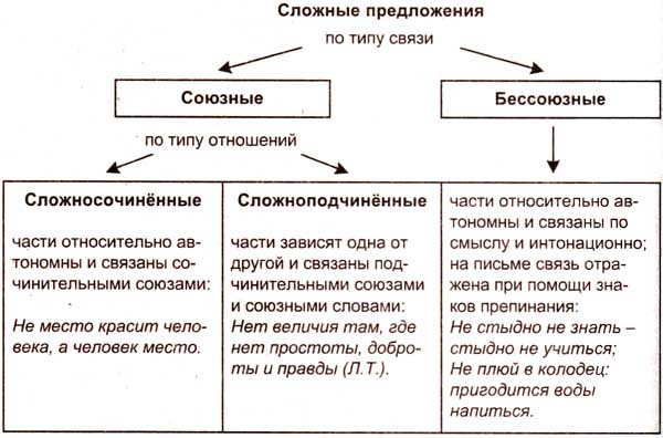 Какие типы сложных предложений вы знаете. Виды связи между частями сложного предложения. Виды связи в сложном предложении. Типы сложных предложений в русском языке. Типы связи частей сложного предложения.